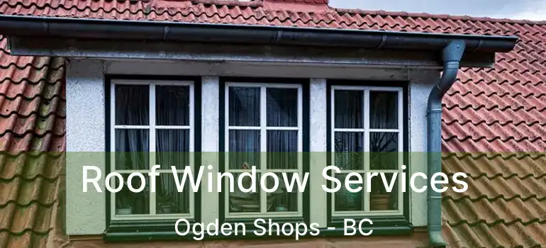  Roof Window Services Ogden Shops - BC