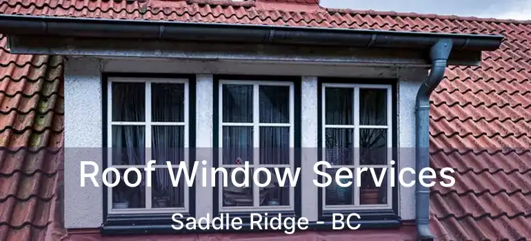  Roof Window Services Saddle Ridge - BC