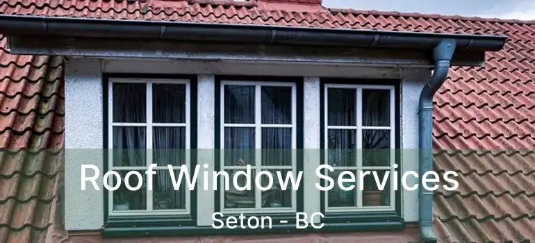  Roof Window Services Seton - BC