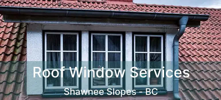  Roof Window Services Shawnee Slopes - BC