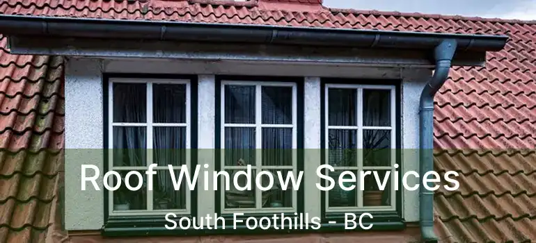  Roof Window Services South Foothills - BC