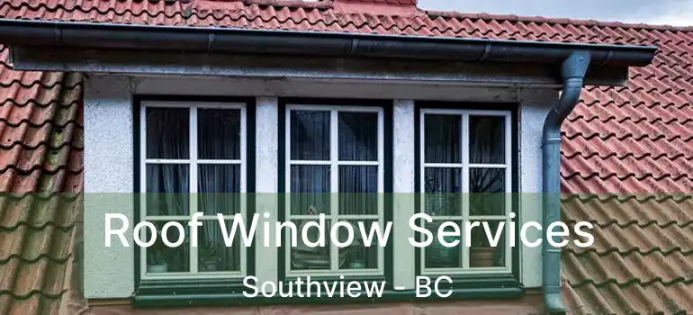  Roof Window Services Southview - BC
