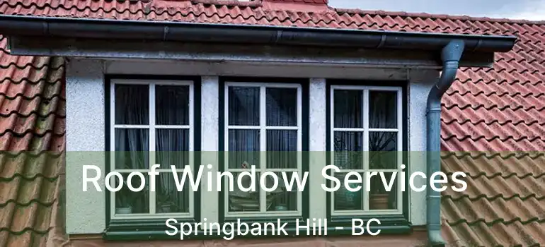  Roof Window Services Springbank Hill - BC