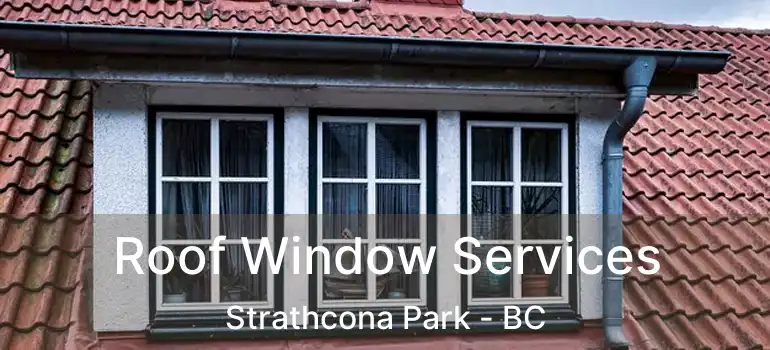  Roof Window Services Strathcona Park - BC