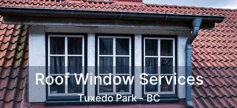  Roof Window Services Tuxedo Park - BC