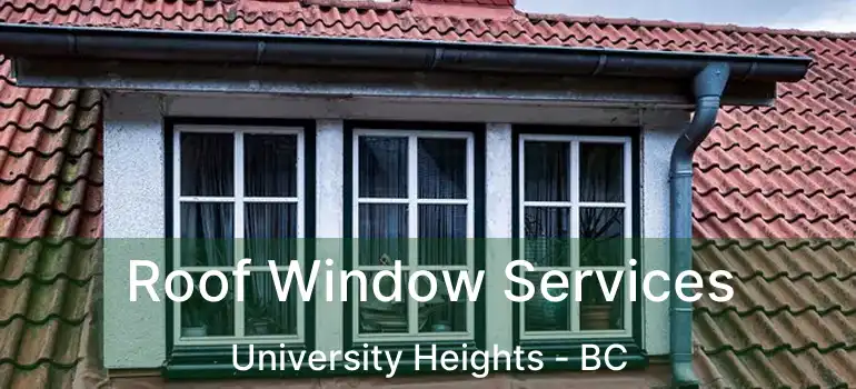  Roof Window Services University Heights - BC