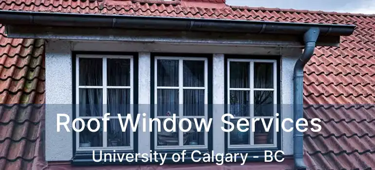  Roof Window Services University of Calgary - BC