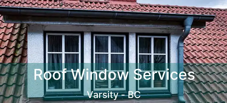  Roof Window Services Varsity - BC