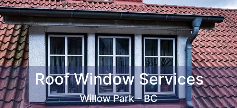  Roof Window Services Willow Park - BC