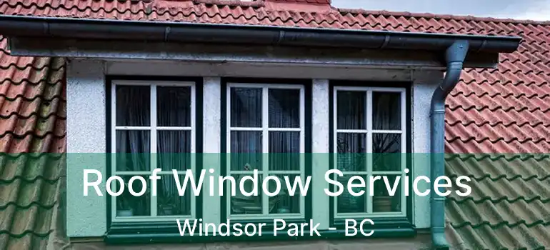  Roof Window Services Windsor Park - BC