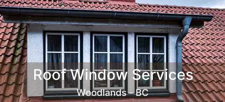  Roof Window Services Woodlands - BC