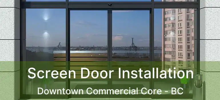  Screen Door Installation Downtown Commercial Core - BC