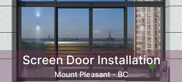  Screen Door Installation Mount Pleasant - BC