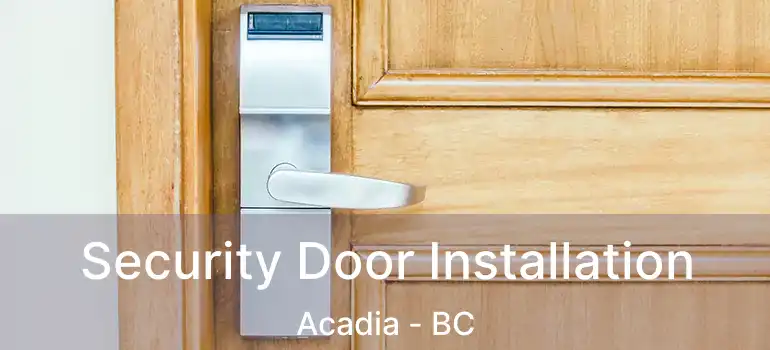  Security Door Installation Acadia - BC