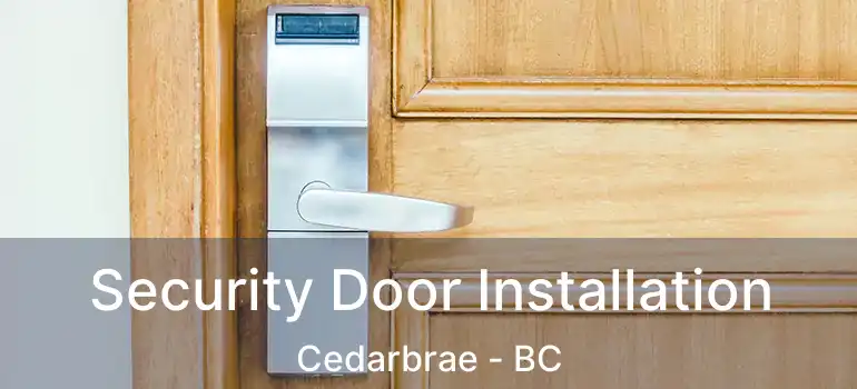  Security Door Installation Cedarbrae - BC