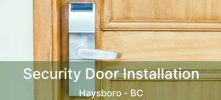  Security Door Installation Haysboro - BC