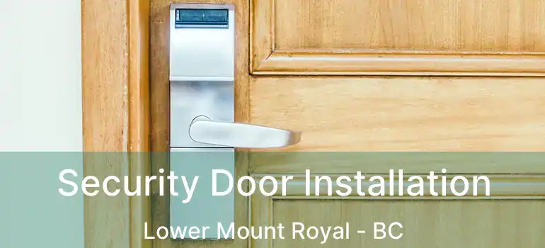  Security Door Installation Lower Mount Royal - BC