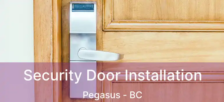  Security Door Installation Pegasus - BC