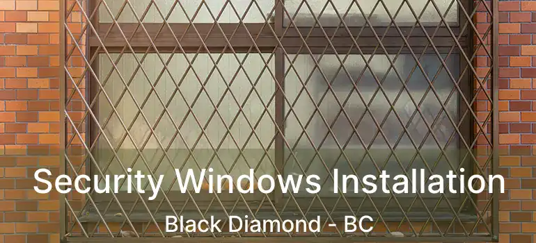  Security Windows Installation Black Diamond - BC
