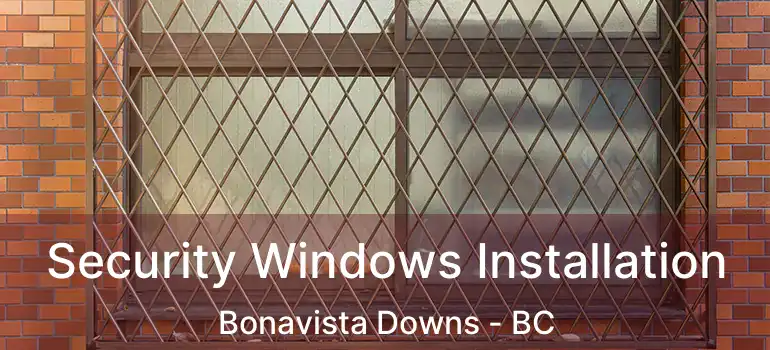 Security Windows Installation Bonavista Downs - BC