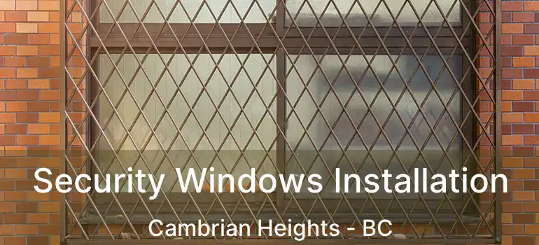  Security Windows Installation Cambrian Heights - BC