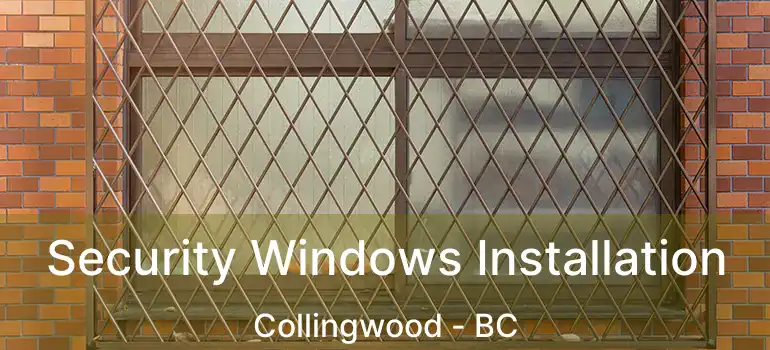  Security Windows Installation Collingwood - BC
