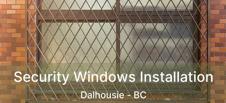  Security Windows Installation Dalhousie - BC