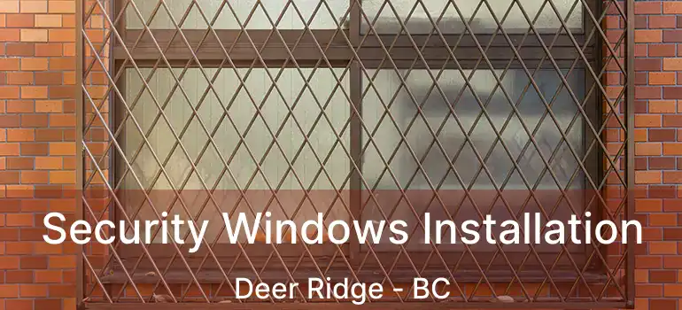  Security Windows Installation Deer Ridge - BC