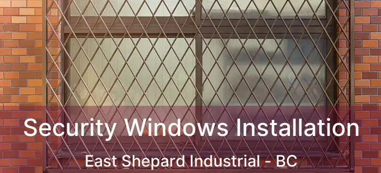  Security Windows Installation East Shepard Industrial - BC