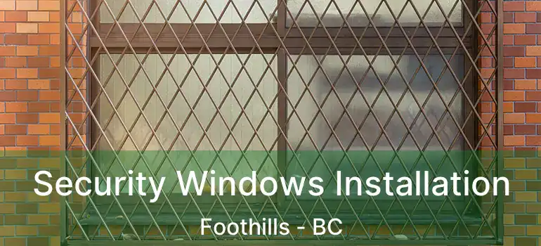  Security Windows Installation Foothills - BC
