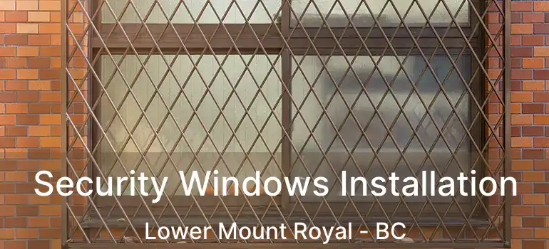  Security Windows Installation Lower Mount Royal - BC