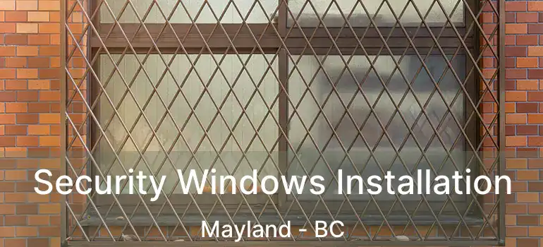  Security Windows Installation Mayland - BC