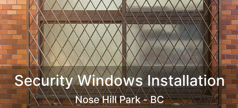  Security Windows Installation Nose Hill Park - BC