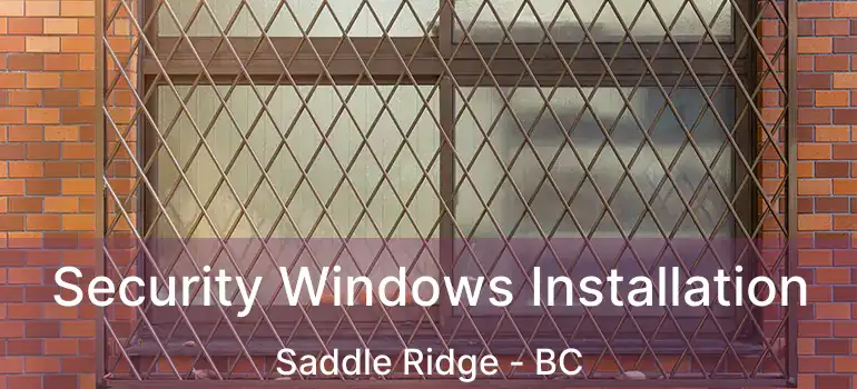  Security Windows Installation Saddle Ridge - BC