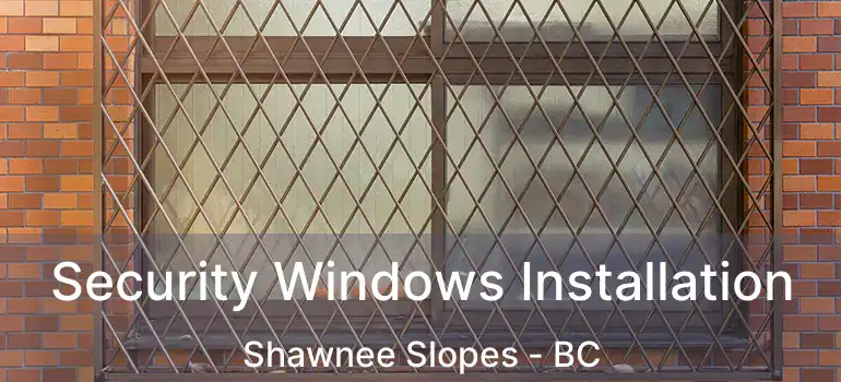  Security Windows Installation Shawnee Slopes - BC