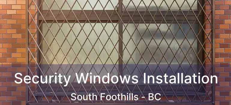  Security Windows Installation South Foothills - BC