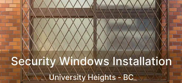  Security Windows Installation University Heights - BC