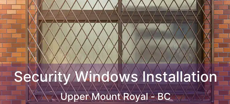  Security Windows Installation Upper Mount Royal - BC