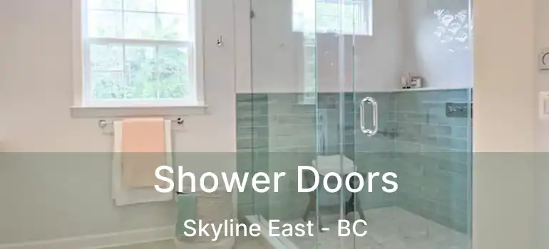  Shower Doors Skyline East - BC