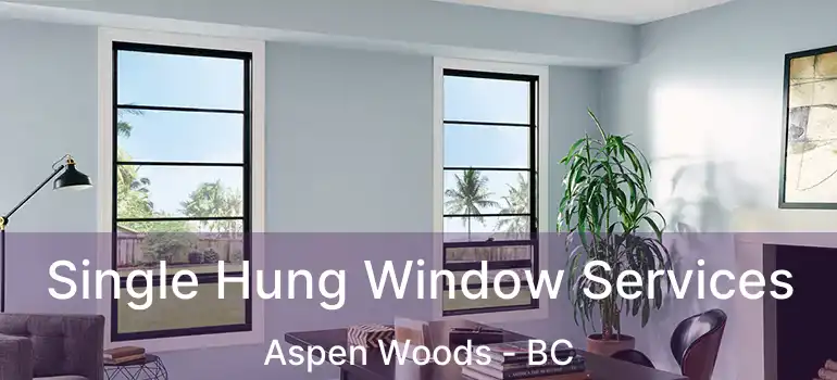  Single Hung Window Services Aspen Woods - BC