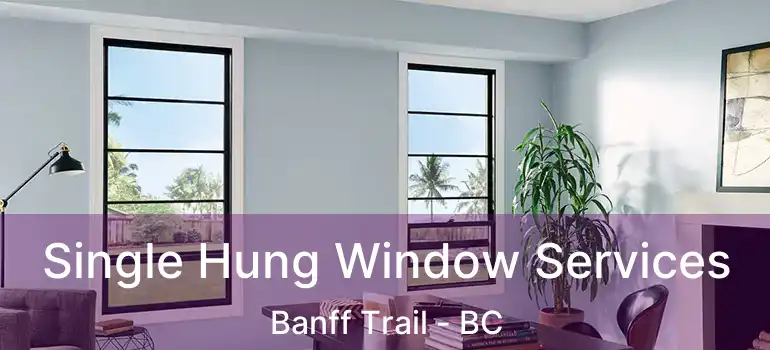  Single Hung Window Services Banff Trail - BC