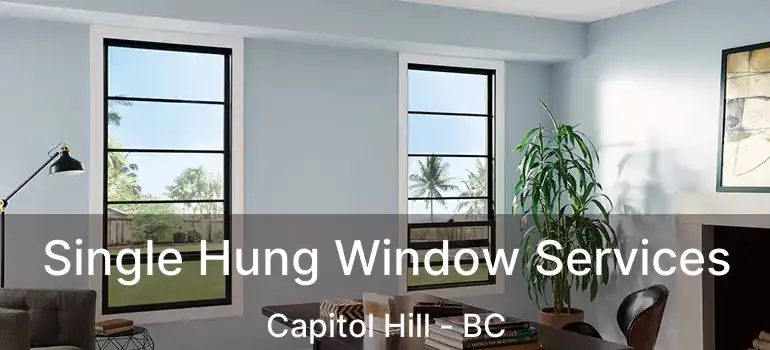  Single Hung Window Services Capitol Hill - BC