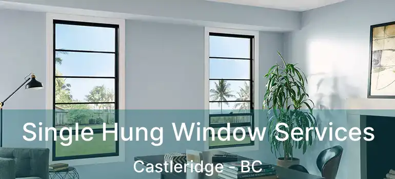  Single Hung Window Services Castleridge - BC