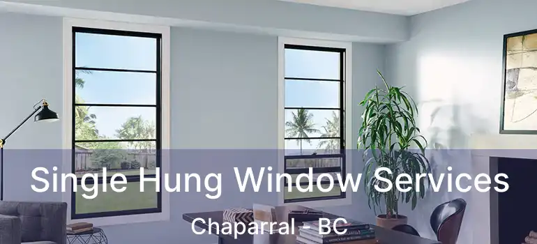  Single Hung Window Services Chaparral - BC