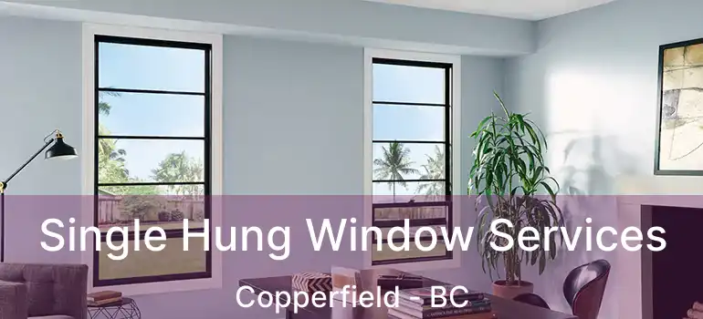  Single Hung Window Services Copperfield - BC