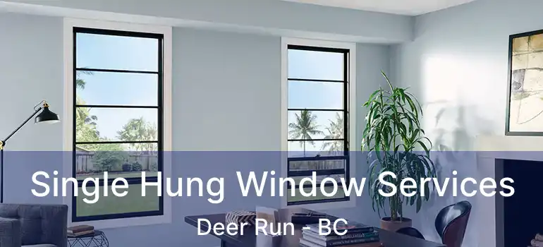  Single Hung Window Services Deer Run - BC