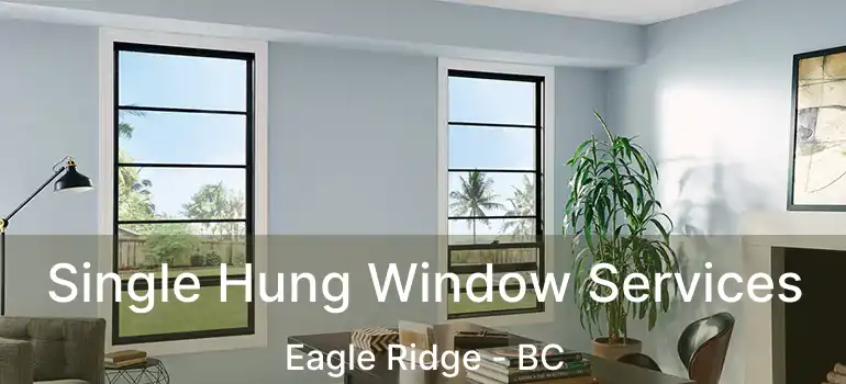  Single Hung Window Services Eagle Ridge - BC