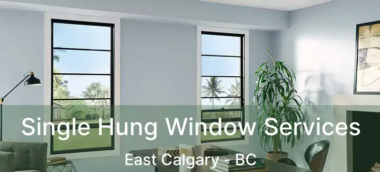  Single Hung Window Services East Calgary - BC