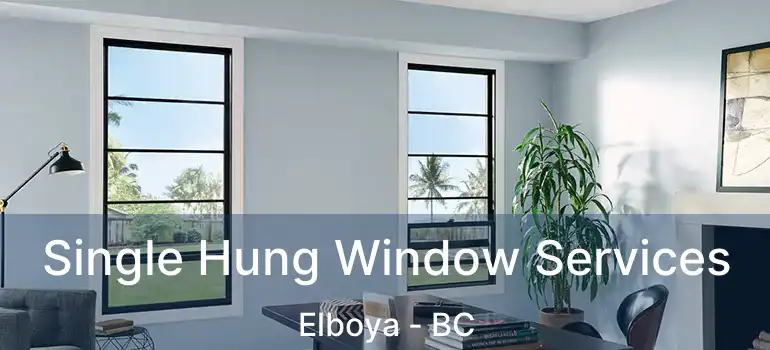  Single Hung Window Services Elboya - BC