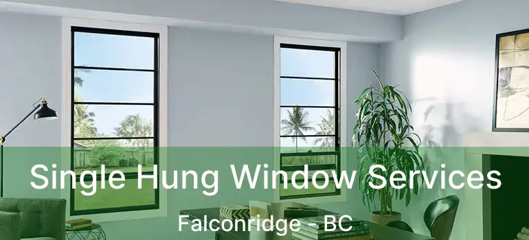  Single Hung Window Services Falconridge - BC